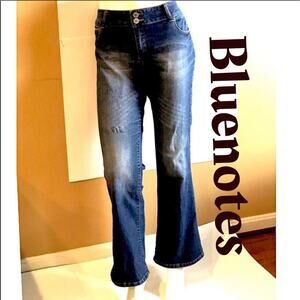 EUC Cute Bluenotes Midrise Skinny Flare Jeans